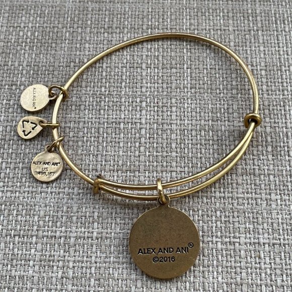 Alex And Ani Bracelet United State COAST GUARD Wrist Band Gold Tone Adjustable - Picture 3 of 8